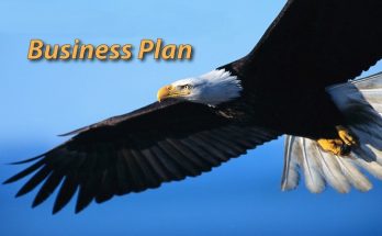 Best business plan