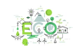 eco friendly business ideas