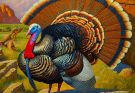 Cultural Significance of Wild Turkey Feathers