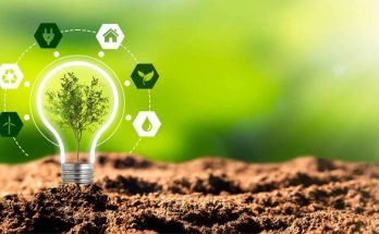 What are the future trends in corporate sustainability