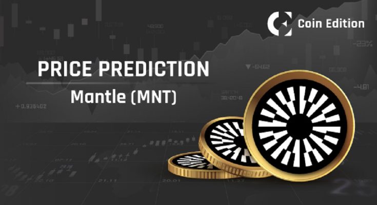 What is the future of the mantle coin