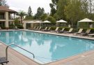 Illustration of a swimming pool with rental business signage, emphasizing zoning compliance and smart monetization strategies