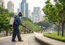 How to manage pests effectively with professional control in urban environments. Learn about integrated pest management, public health, and city-specific solutions.